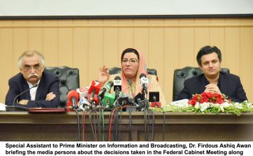 Declaration of assets step towards documentation of economy: Dr Firdous