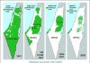 Palestine Welcomes Release of Data of Business Actors involved in Illegal Israeli Settlements