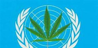 International Narcotics Control Board (INCB) Annual Report 2019