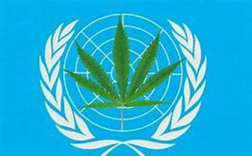 International Narcotics Control Board (INCB) Annual Report 2019