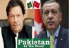 Pakistan Expresses Solidarity with Turkey on Democracy & National Unity Day