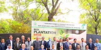 RCCI kicks off Plantation Drive under My Green Pakistan