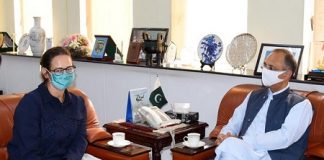 Danish Ambassador Suggests Joint Energy Platform with Pakistan
