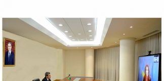 Turkmenistan and Sweden discuss issues of building the potential of bilateral cooperation
