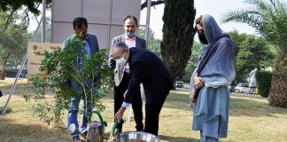 Embassy of Japan donated Jasmine trees to the Japanese Park in Islamabad