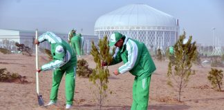 25 million saplings will be planted throughout Turkmenistan