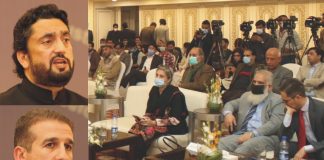 Armenia will see Pakistan always Standing with Azerbaijan – Minister Assures Permanent Support