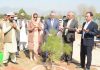 Australia High Commission Gifts Miyawaki Plants to Pakistan