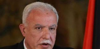 Statement ; Riad Malki, Palestine Foreign Minister , before the UN Security Council