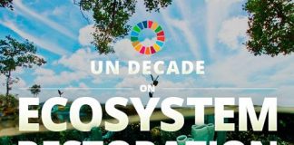 “United Nations Decade on Ecosystem Restoration 2021-2030” Pakistan’s hosting of World Environment Day
