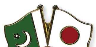 Japan -Pakistan exchange opinions on diplomatic – security policies