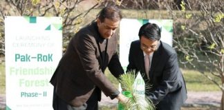 Pakistan-Korea Friendship Forest Initiative (Phase-II) Launched by Embassy of RoK