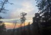 A Day into the Snow Flakes -by – Munaza Kazmi