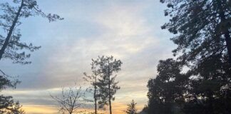 A Day into the Snow Flakes -by – Munaza Kazmi
