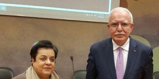 Riyad Al-Maliki Thankful for Pakistan’s Consistent Stance on Human Rights of Palestinians