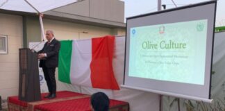 Italy to invest €1.5 million for olive cultivation and growth in Pakistan