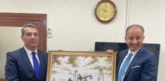 Pakistan-Azerbaijan committed to enhance energy cooperation