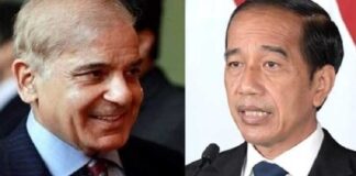 Telephone conversation between Prime Minister Shehbaz Sharif and President Joko Widodo of Indonesia