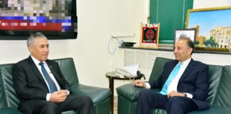 Minister Reiterates Pakistani Commitment to TAPI Project in Meeting with Ambassador Turkmenistan