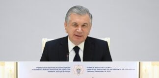 Address by the President Shavkat Mirziyoyev at the First Plenary Session of the Foreign Investors Council
