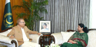 President for Green Energy Cooperation with Norway