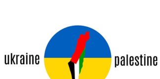 Ukraine & Palestine – Double Standards in Different Ways – by – Nader K. Alturk