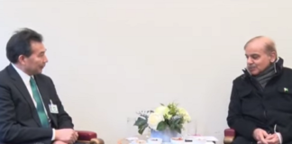 Chairman China International Corporation Luo Zhaohui Calls on Prime Minister Pakistan