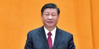 President Xi Stresses Actions to Speed up Establishment of Modern Pattern of Development