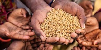 Russia’s Goal Is to Provoke World Hunger in the Next 2-3 Years