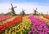 Netherlands – Dream Land for Tourists of the World – by – Raja Liaqat Ali