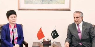 Charge’d Affairs China Embassy calls on Finance Minister Pakistan