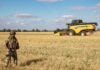 GLOBAL HUNGER ! Prolongation of the Grain Deal: Russia Sees Global Hunger as a Tool for the War against Europe?
