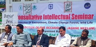 Speakers urge a sustainable development strategy for Neelum valley