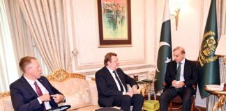 Pakistan for Building Cooperation with Belarus in All Areas – PM Shehbaz Invites President Lukashenko to Visit Islamabad