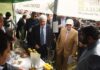 Pak-Italy Join Hands for Olive Sector Development in Pakistan