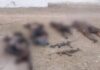 5 Terrorists killed in Awaran Balochistan by Pakistan Army