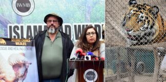 Islamabad Wildlife Management Board Saving Animals without Gov Support – Sponsor NGO Controlling Rehabilitation Center at Old Zoo