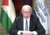 Palestine for Immediate Ceasefire as only way to oblige Israel to Implement the Decision ICJ