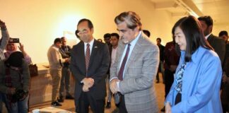 “Yakishime: Earth Metamorphosis” Traveling Pottery Exhibition by Japan Foundation at PNCE