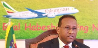 Ethiopian Airlines Getting Overwhelming Response in Pakistan: Envoy