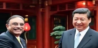 President Zardari Expresses Commitment to Working Closely with President Xi Jinping to Deepen Practical Cooperation