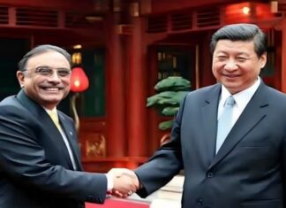 President Zardari Expresses Commitment to Working Closely with President Xi Jinping to Deepen Practical Cooperation