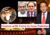 Finance with Force to Save Pakistan -Power of Interior Should be Used against the Defaulters not PTI – by Tazeen Akhtar