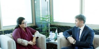 Pakistan, Kazakhstan to boost ties in IT & Telecom sector