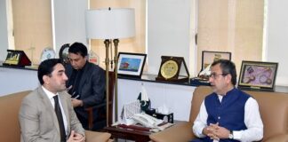 Tajik Charge d’Affaires Calls on Minister Energy Pakistan