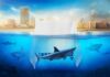 Grenlit Studios Unveils ‘Shark Tank Pakistan’ Logo, Launches the Social Media channels