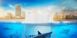 Grenlit Studios Unveils ‘Shark Tank Pakistan’ Logo, Launches the Social Media channels