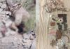 One Terrorist Killed Two Injured in Fire Exchange with Security Forces in Balochistan