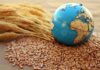 War on Ukraine Threat to World Food Security – EU Bans Russian, Belarusian Agri Products