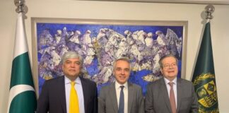 Pakistan France Review Implementation of Roadmap of Bilateral Cooperation, signed in 2023